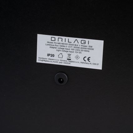 BRILAGI - reguliuojamas LED makiažo veidrodis CALIFORNIA LED/25W/230V 3000/4000/6500K 55x44 cm juodas
