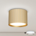 BRILAGI - LED RGB+CCT reguliuojamas taškinis šviestuvas STRIPY 1xGX53/14W/230V 60x82 mm 2700-6500K Wi-Fi Tuya auksinė