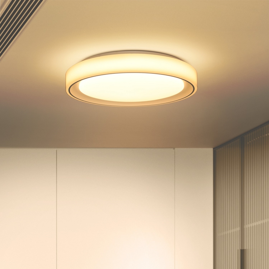 Brilagi - LED RGB reguliuojamas lubų šviestuvas FLOCO LED/30W/230V skersmuo 39,5 cm 3000-6500K Wi-Fi Tuya + LED/6W + nuotolinio valdymo pultas