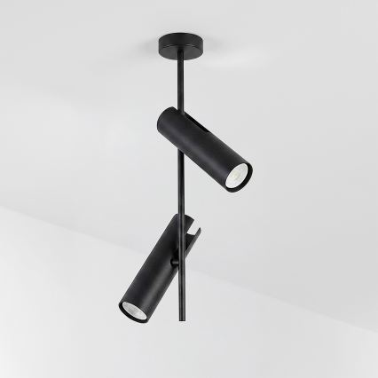 BRILAGI - LED RGBW dimeriuojamas šviestuvas ant strypo BRANCH 2xGU10/6,5W/230V 2700-6500K juoda