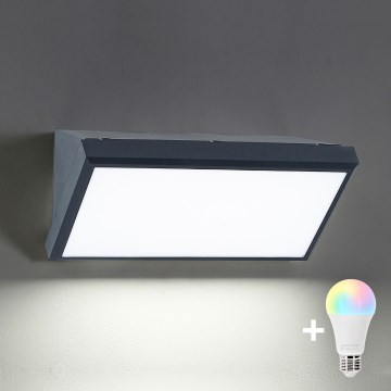 Brilagi - LED RGBW dimeriuojamas lauko sieninis šviestuvas TRIANGLE 1xE27/15W/230V 2700-6500K IP65 antracitas