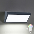 Brilagi - LED RGBW dimeriuojamas lauko sieninis šviestuvas TRIANGLE 1xE27/9W/230V 2700-6500K IP65 antracitas