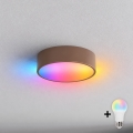 BRILAGI - LED RGBW dimeriuojamas lubinis šviestuvas CLARE 1xE27/12W/230V skersmuo 20 cm ruda
