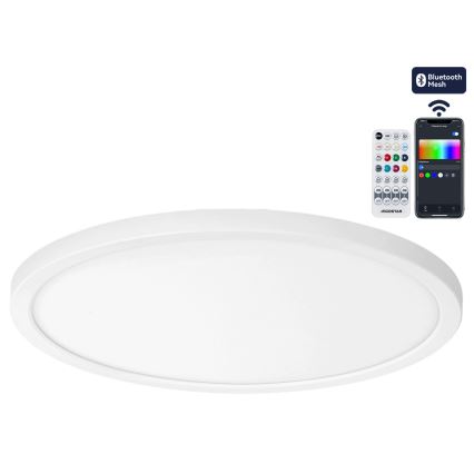 Brilagi - LED RGBW dimeriuojamas lubų šviestuvas VIBE LED/24W/230V 3000-6500K skersmuo 26 cm baltas + nuotolinis valdymas