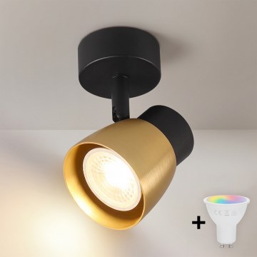 Brilagi - LED RGBW dimeriuojamas taškinis šviestuvas NUGGET 1xGU10/4,8W/230V juoda/auksinė