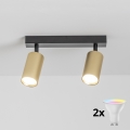 BRILAGI - LED RGBW dimeriuojamas taškinis šviestuvas SELE GOLDEN 2xGU10/4,8W/230V 3000K juoda/auksinė + nuotolinis valdymas