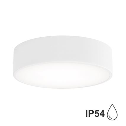 BRILAGI - Dimeriuojamas LED RGBW vonios kambario lubų šviestuvas CLARE 2xE27/12W/230V 2700-6500K skersmuo 30 cm IP54 balta