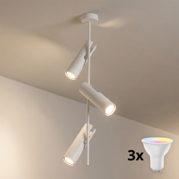 BRILAGI - LED RGBW reguliuojama liustra ant strypo BRANCH 3xGU10/6,5W/230V 2700-6500K balta