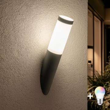 BRILAGI - LED RGBW reguliuojamas lauko sieninis šviestuvas ELIA 1xE27/6,5W/230V 2700-6500K IP44 Wi-Fi antracitas