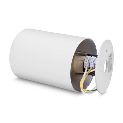 Brilagi - LED RGBW dimeriuojamas taškinis šviestuvas TRINE 1xGU10/4,8W/230V 3000K baltas/auksinis + nuotolinis valdymas