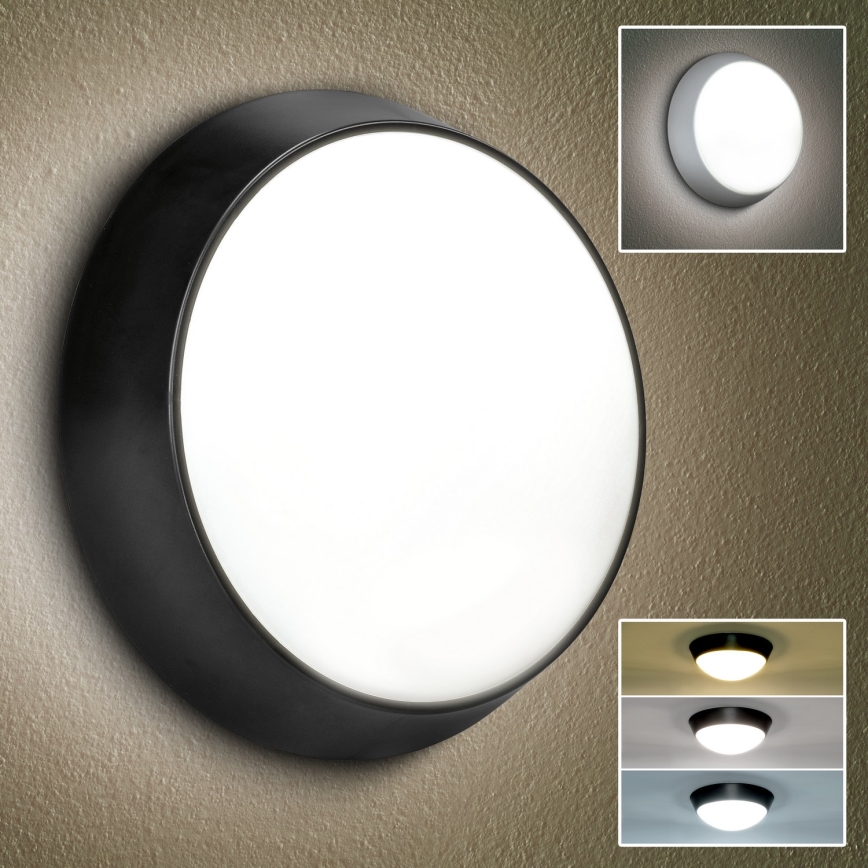Brilagi - LED sieninis lauko šviestuvas 2in1 BULKHEAD LED/20W/230V 3000/4000/6000K IP65