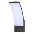 Brilagi - LED sieninis lauko šviestuvas ARCELO LED/9W/230V IP44