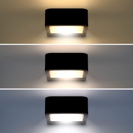 Brilagi - LED sieninis lauko šviestuvas BARI LED/7W/230V 3000/4000/6000K IP54
