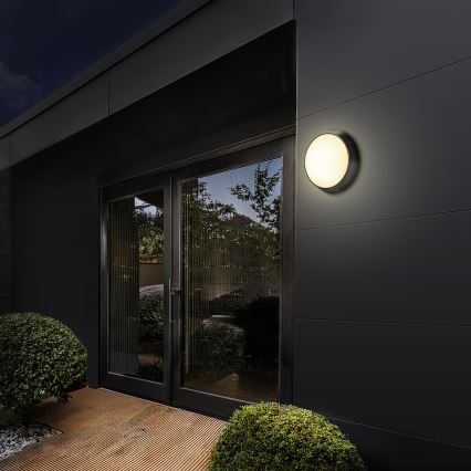 Brilagi - LED sieninis lauko šviestuvas 2in1 BULKHEAD LED/20W/230V 3000/4000/6000K IP65