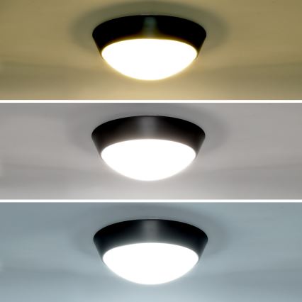Brilagi - LED sieninis lauko šviestuvas 2in1 BULKHEAD LED/20W/230V 3000/4000/6000K IP65