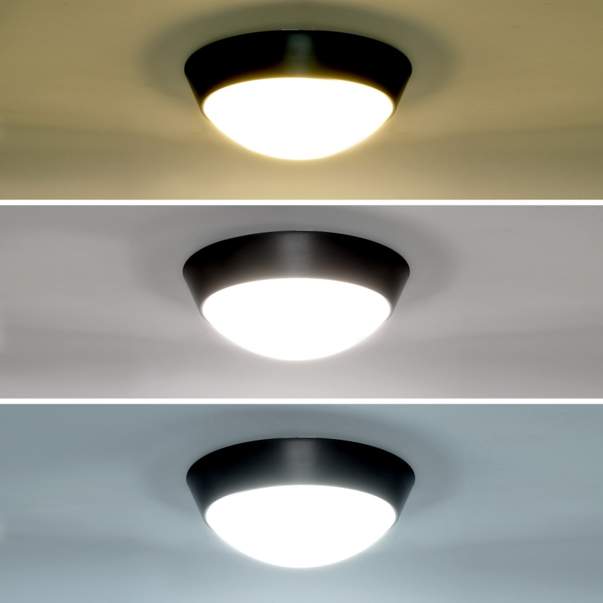 Brilagi - LED sieninis lauko šviestuvas 2in1 BULKHEAD LED/20W/230V 3000/4000/6000K IP65