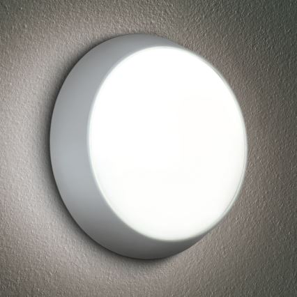Brilagi - LED sieninis lauko šviestuvas 2in1 BULKHEAD LED/20W/230V 3000/4000/6000K IP65