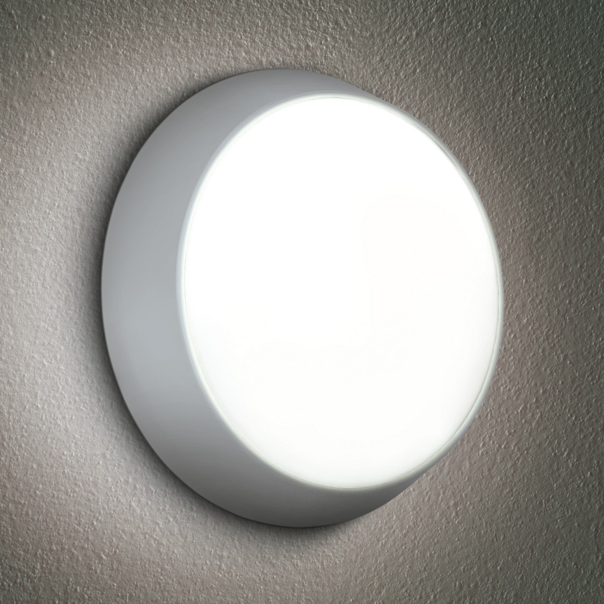 Brilagi - LED sieninis lauko šviestuvas 2in1 BULKHEAD LED/20W/230V 3000/4000/6000K IP65