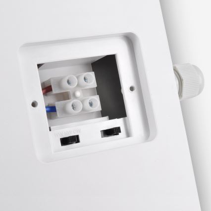 Brilagi - LED sieninis lauko šviestuvas 2in1 BULKHEAD LED/20W/230V 3000/4000/6000K IP65