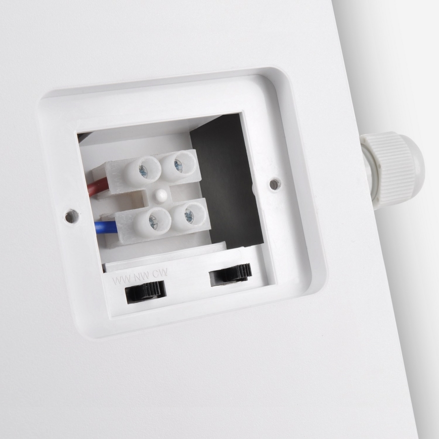 Brilagi - LED sieninis lauko šviestuvas 2in1 BULKHEAD LED/20W/230V 3000/4000/6000K IP65