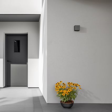 Brilagi - LED sieninis lauko šviestuvas CUBE LED/6W/230V antracitas IP54