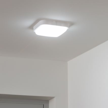 Brilagi - LED Sieninis lauko šviestuvas LED/20W/230V IP54