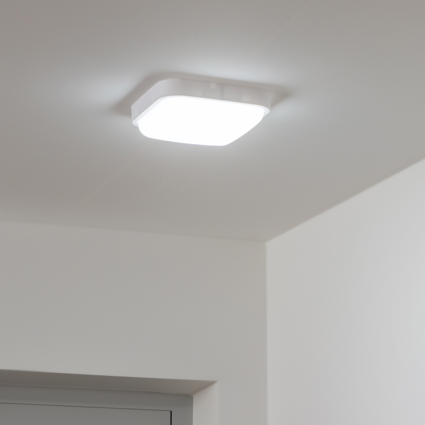 Brilagi - LED Sieninis lauko šviestuvas LED/20W/230V IP54