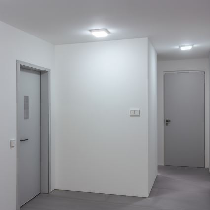 Brilagi - LED Sieninis lauko šviestuvas LED/20W/230V IP54