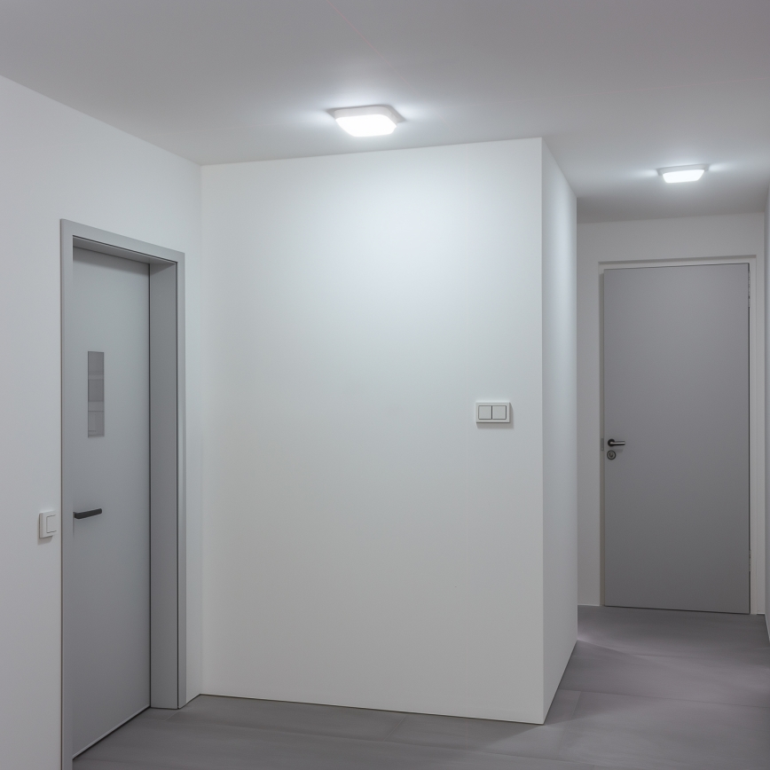 Brilagi - LED Sieninis lauko šviestuvas LED/20W/230V IP54