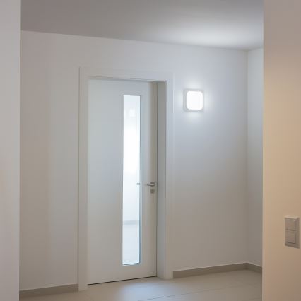 Brilagi - LED Sieninis lauko šviestuvas LED/20W/230V IP54