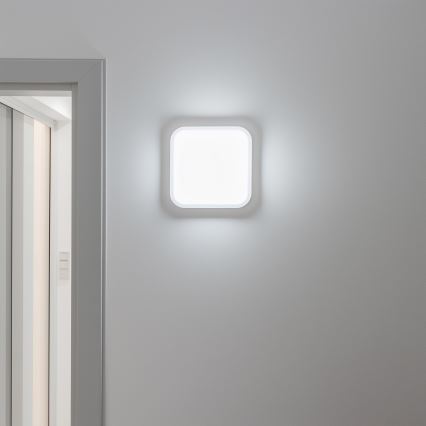 Brilagi - LED Sieninis lauko šviestuvas LED/20W/230V IP54