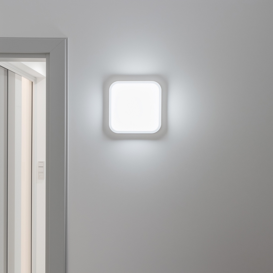 Brilagi - LED Sieninis lauko šviestuvas LED/20W/230V IP54