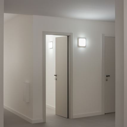 Brilagi - LED Sieninis lauko šviestuvas LED/20W/230V IP54