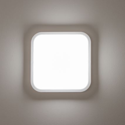 Brilagi - LED Sieninis lauko šviestuvas LED/20W/230V IP54
