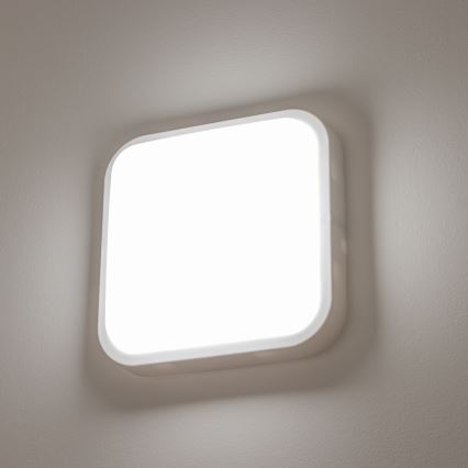 Brilagi - LED Sieninis lauko šviestuvas LED/20W/230V IP54
