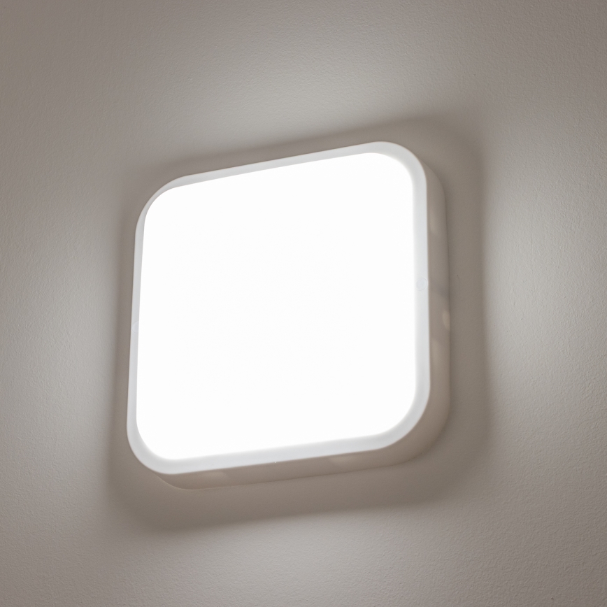 Brilagi - LED Sieninis lauko šviestuvas LED/20W/230V IP54