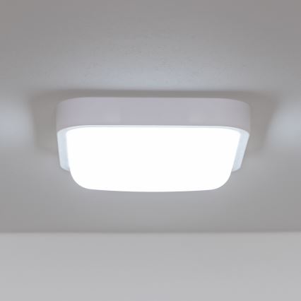 Brilagi - LED Sieninis lauko šviestuvas LED/20W/230V IP54