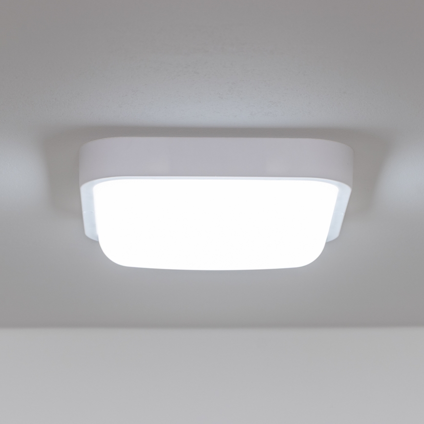 Brilagi - LED Sieninis lauko šviestuvas LED/20W/230V IP54