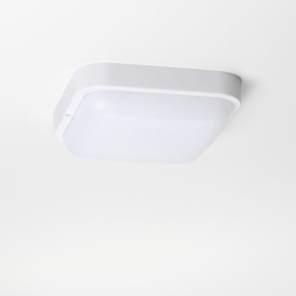 Brilagi - LED Sieninis lauko šviestuvas LED/20W/230V IP54