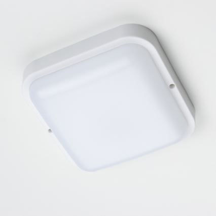 Brilagi - LED Sieninis lauko šviestuvas LED/20W/230V IP54