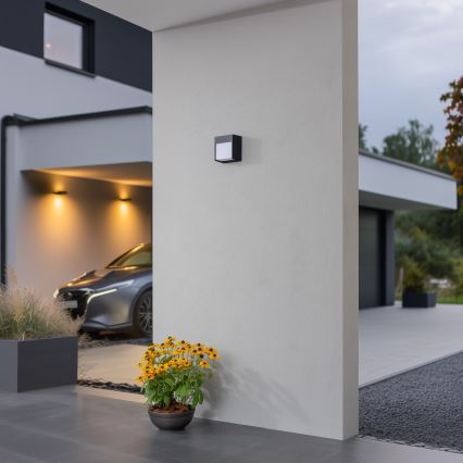 Brilagi - LED sieninis lauko šviestuvas TERNI LED/12W/230V antracitas IP44