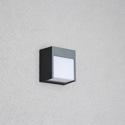 Brilagi - LED sieninis lauko šviestuvas TERNI LED/12W/230V antracitas IP44