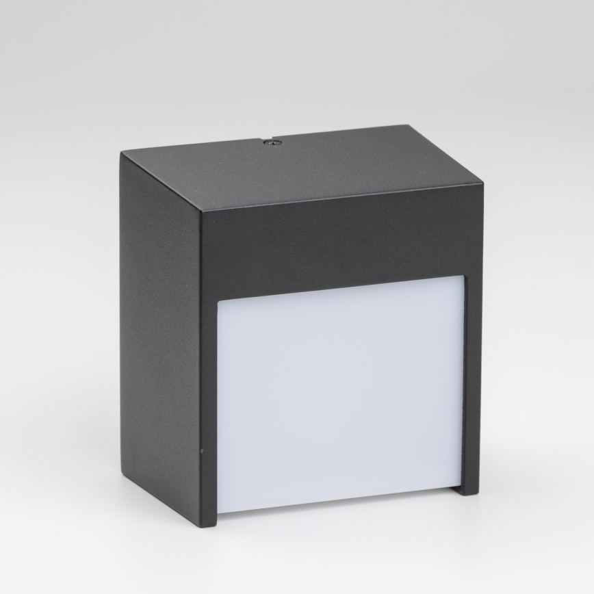 Brilagi - LED sieninis lauko šviestuvas TERNI LED/12W/230V juoda IP44