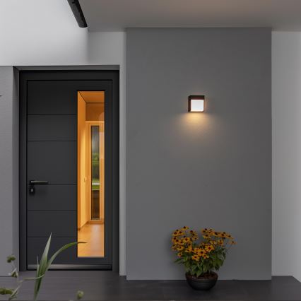 Brilagi - LED sieninis lauko šviestuvas TERNI LED/12W/230V juoda IP44