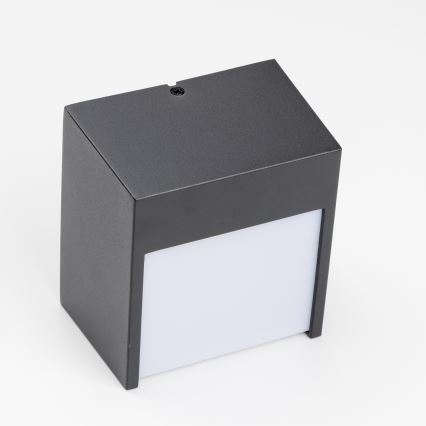 Brilagi - LED sieninis lauko šviestuvas TERNI LED/12W/230V juoda IP44