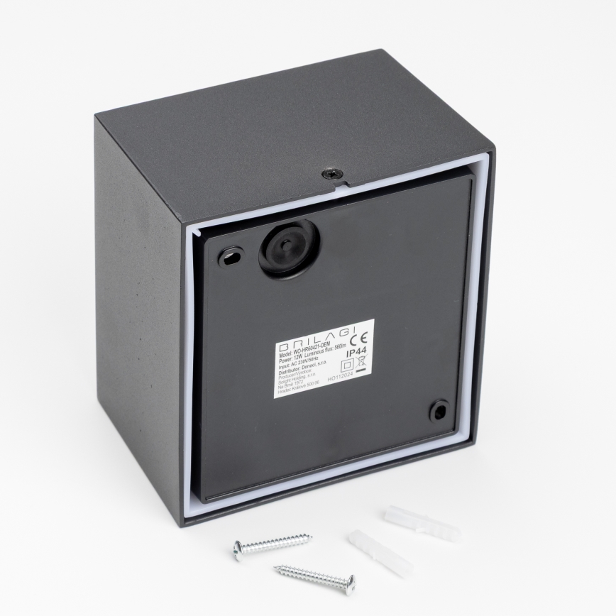 Brilagi - LED sieninis lauko šviestuvas TERNI LED/12W/230V juoda IP44