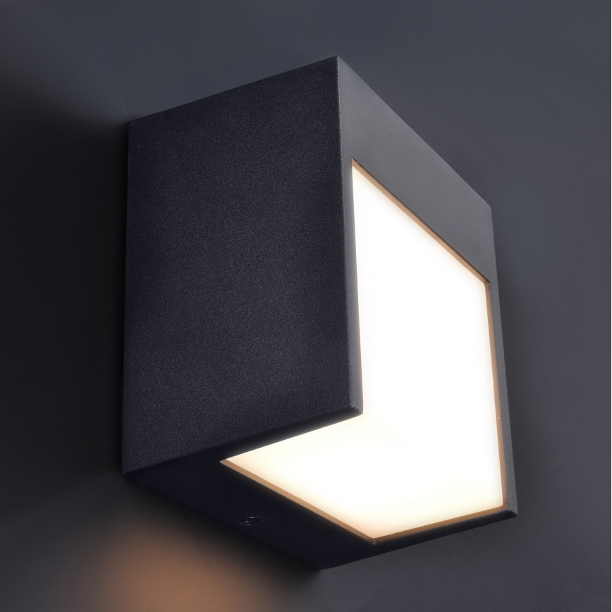 Brilagi - LED sieninis lauko šviestuvas TERNI LED/12W/230V juoda IP44