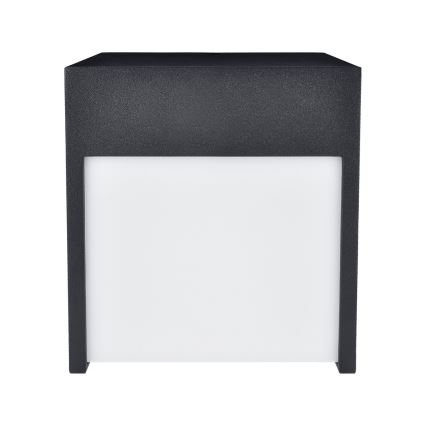 Brilagi - LED sieninis lauko šviestuvas TERNI LED/12W/230V juoda IP44