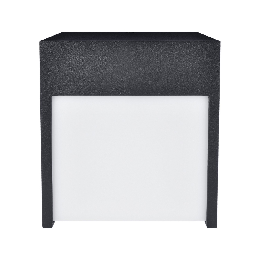 Brilagi - LED sieninis lauko šviestuvas TERNI LED/12W/230V juoda IP44