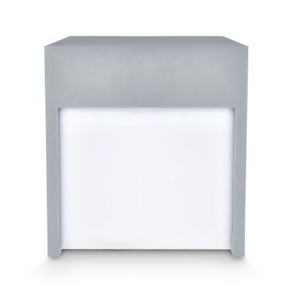 Brilagi - LED sieninis lauko šviestuvas TERNI LED/12W/230V pilka IP44